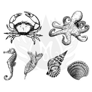 DSS-0148 Vida marina